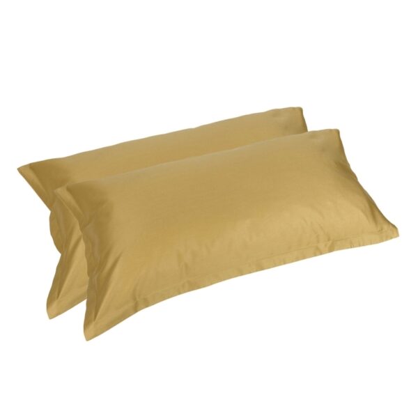 Coppia di Federe Arianna Fazzini